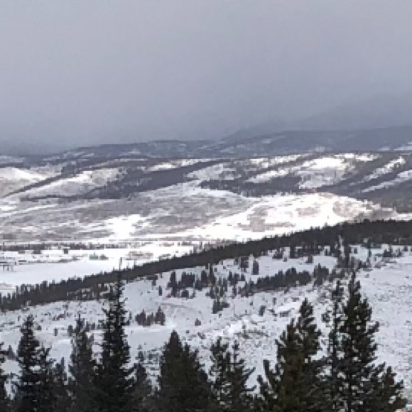 Meet your Posher, Abby - Picture 1 of 1